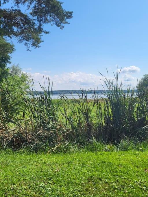 L'Oree Des Lacs, Maison De Village Tout Confort Radonvilliers Ngoại thất bức ảnh